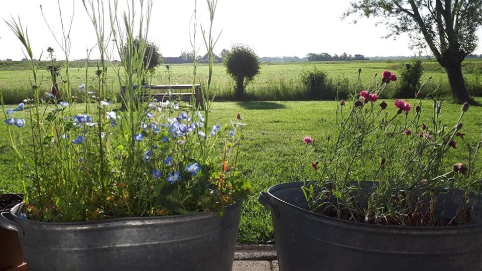 B&B Beemsterblik Graft Exterior foto